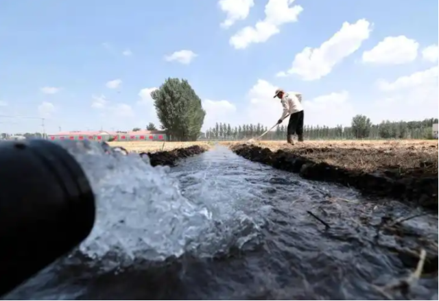 挽回了丢失掌管了公道也给文身服务供给者敲响了法令警钟